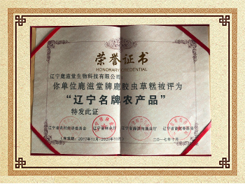 遼寧名牌農產品-鹿膠蟲草糕