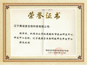 榮譽證書